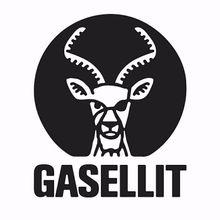 Gasellit – Holiday Inn