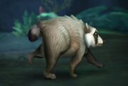 Jimothy World of Warcraftissa