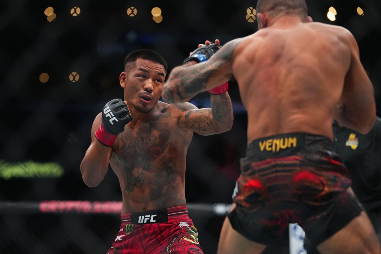 Joshua Van UFC 331:ssa