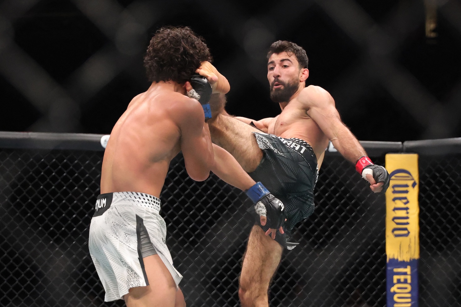 Fahid Basharat sanasodassa UFC-pomo Dana Whiten kanssa.