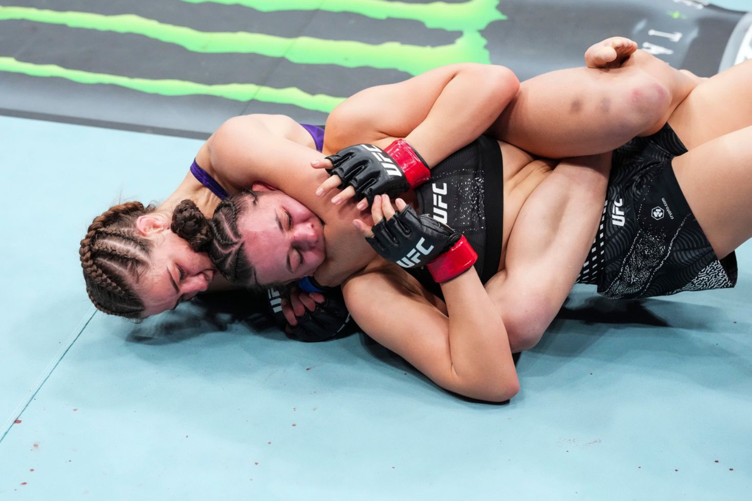 UFC Fight Night 291