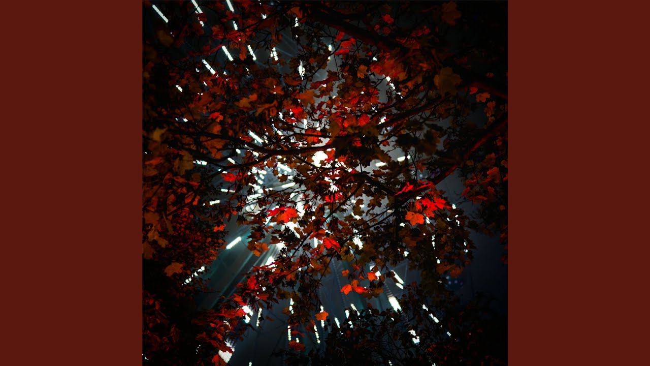 youtube placeholder image